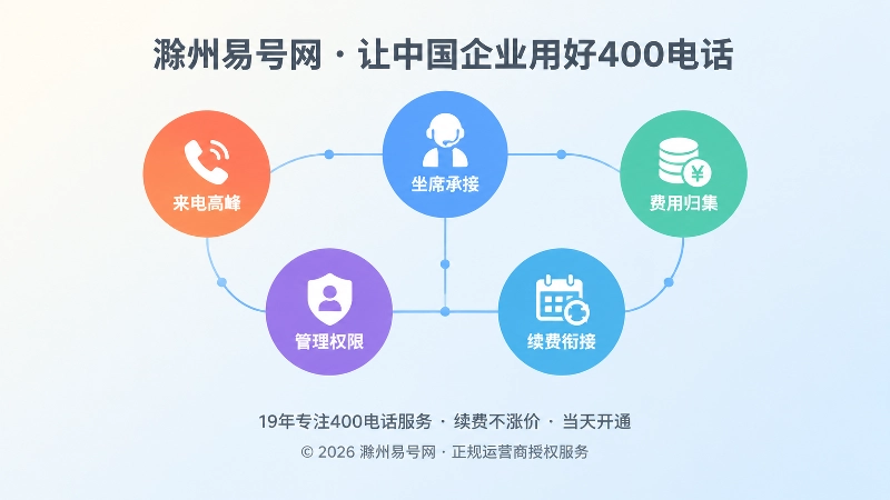 由彩色节点与细线构成的接待流程网络插画，表现套餐走进企业内部流程
